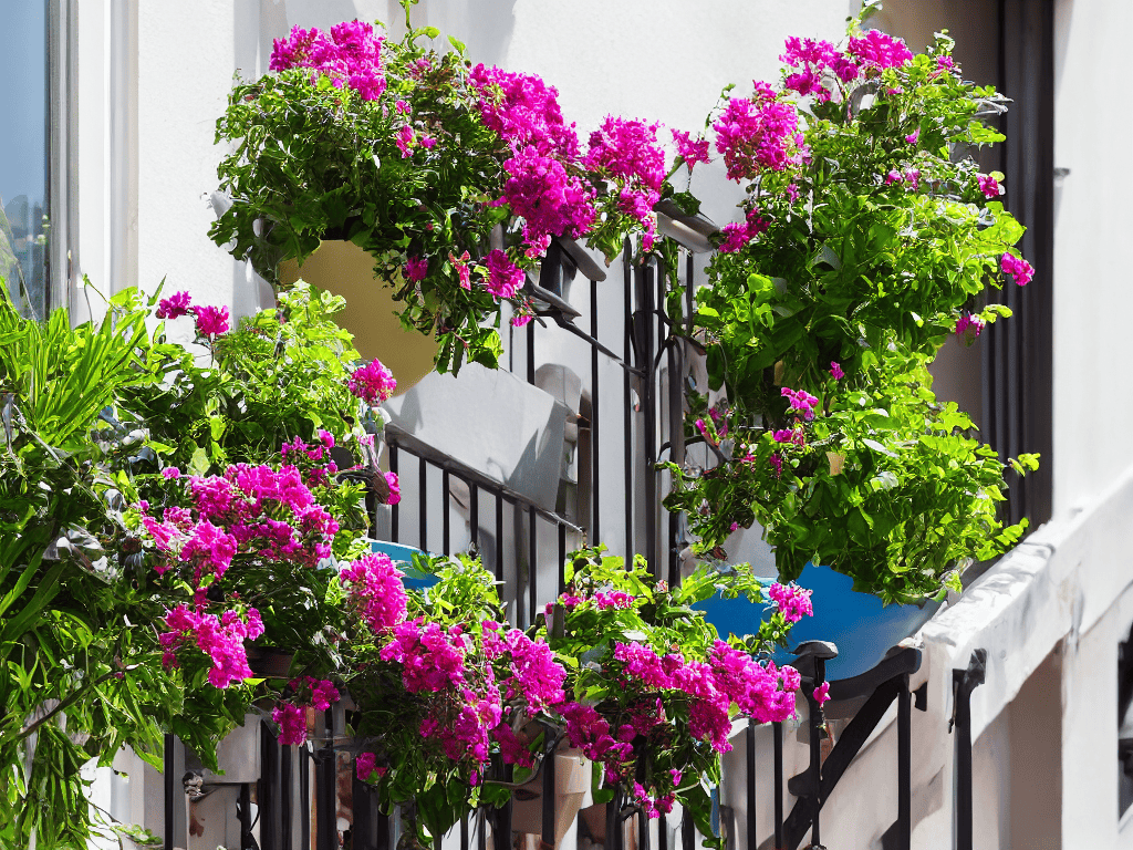 A Beginners Guide to Balcony Gardens